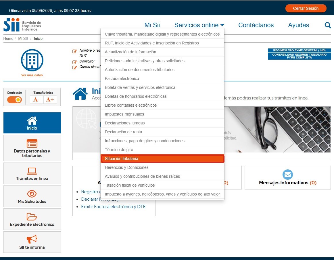 Entra a Servicios online → Situación tributaria