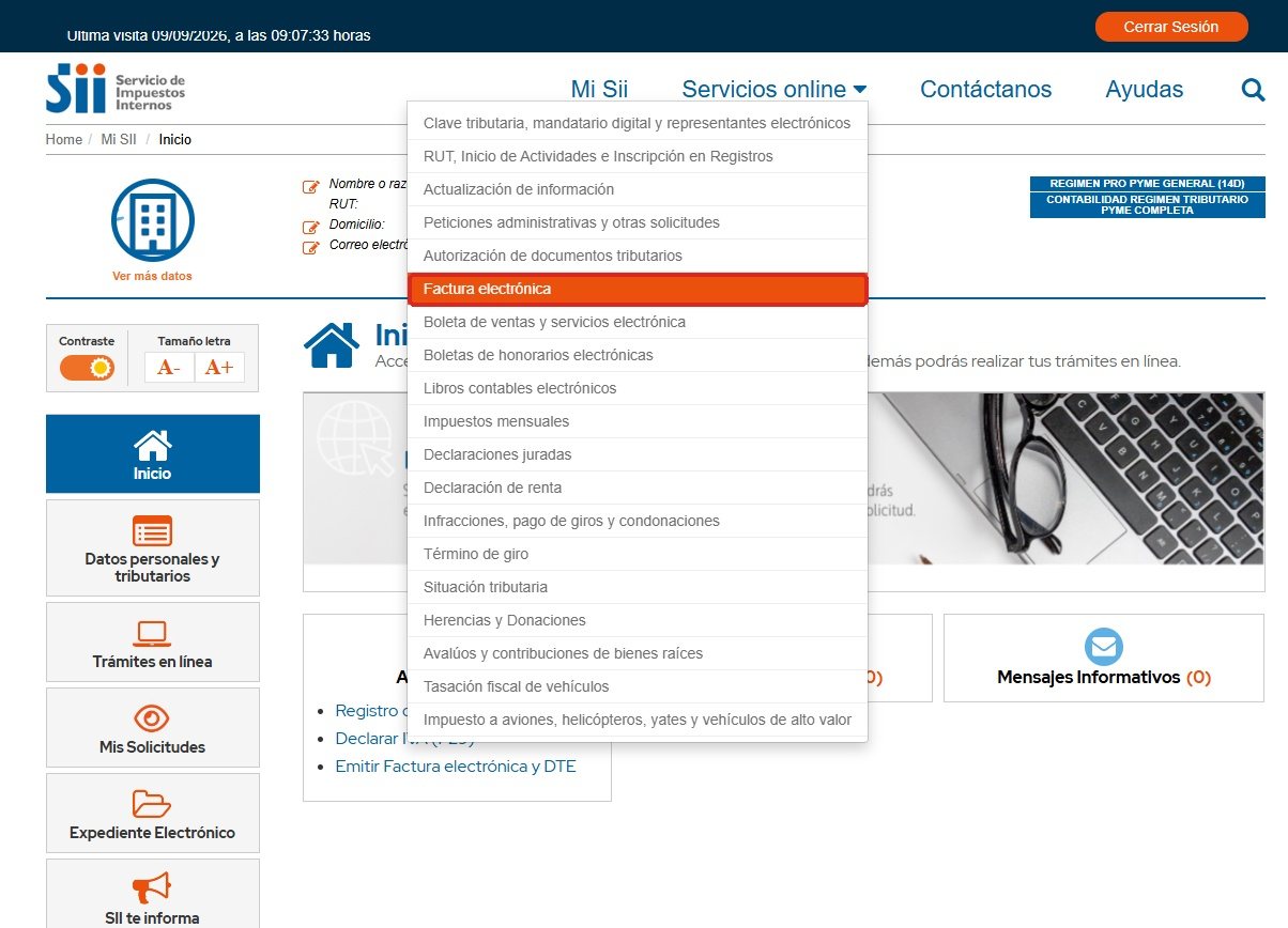 Entra a Servicios online → Factura electrónica