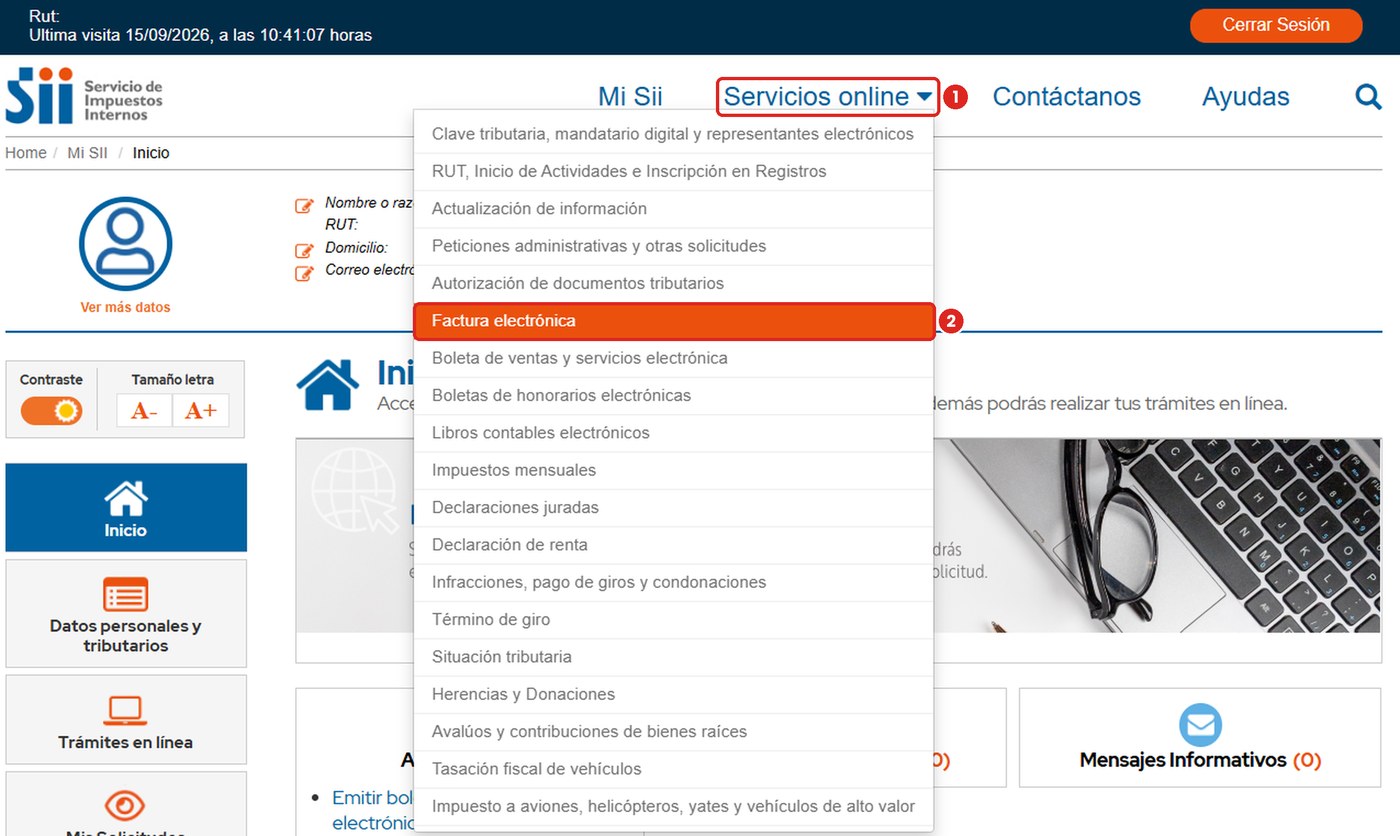 Entra a Servicios online → Factura electrónica